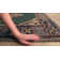 Guarino Oriental Indoor Rug