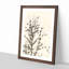 Birds in the Tree - Picture Frame Graphic Art Print-56862430-56862432