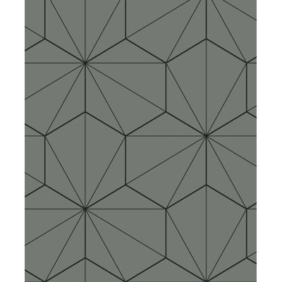 Rouleau de papier peint L 33 pi x l 20,9 po Vicente Hedron