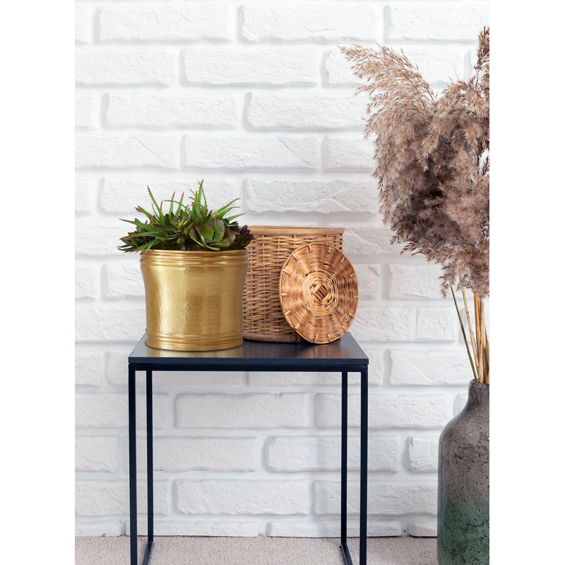 Pot de fleurs en laiton Hatchett, 10,5 po x 12 po x 12 po
