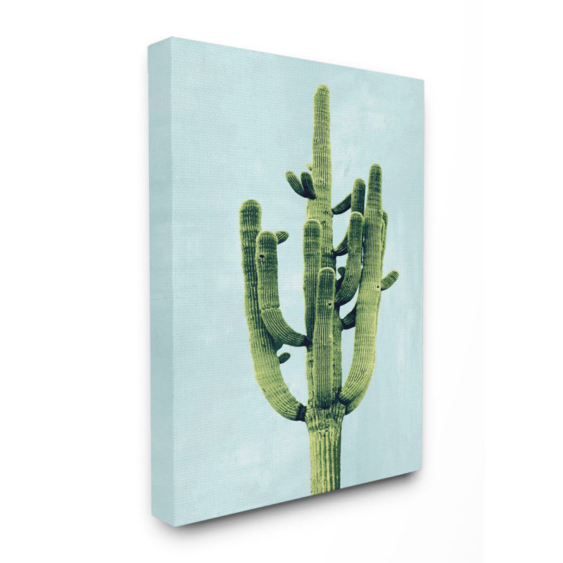 «Pop Desert Cactus Plant Vintage Succulent Blue Green» par Ziwei Li - impression, H 30 po x l 24 po, Toile tendue