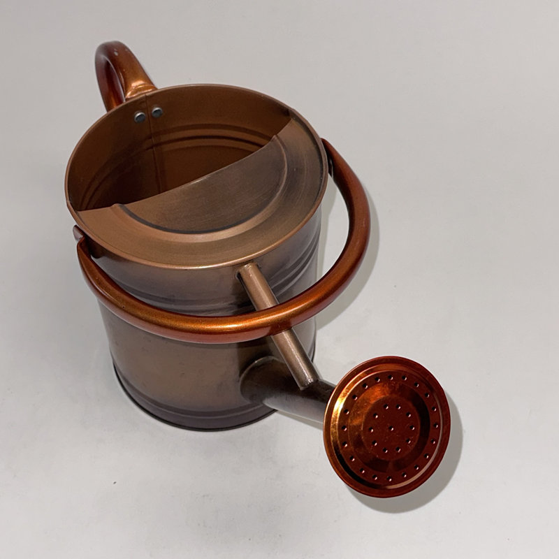 Outils de jardinage pour arrosoir Lexi Home, Cuivre