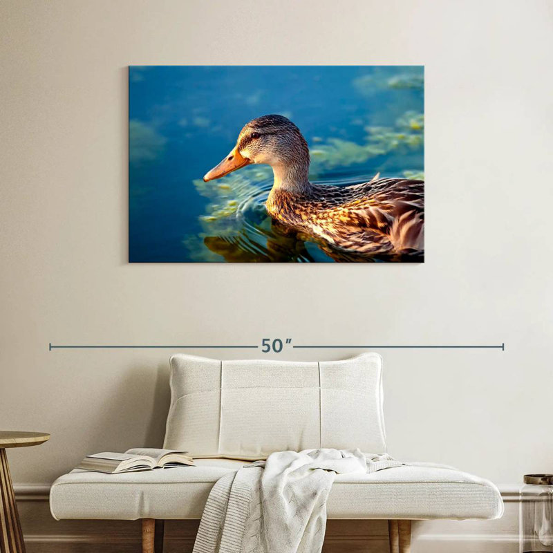 Canard colvert sur l'eau, H 26 po x l 39 po