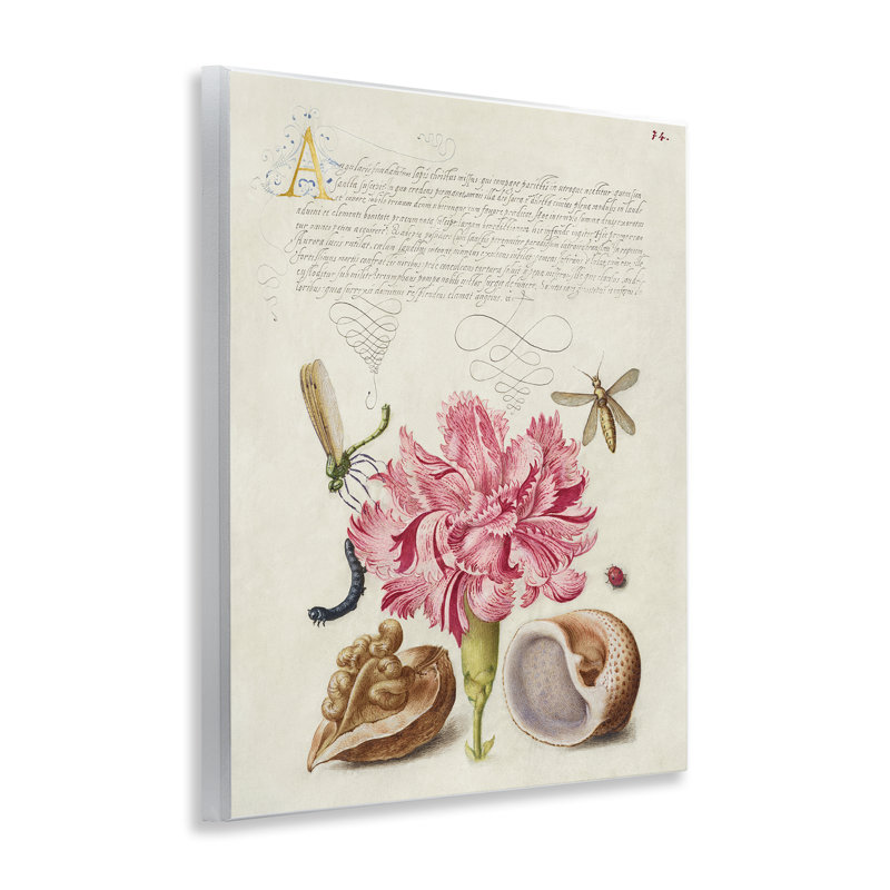 Art mural antique avec fleurs et escargots par June Erica Vess