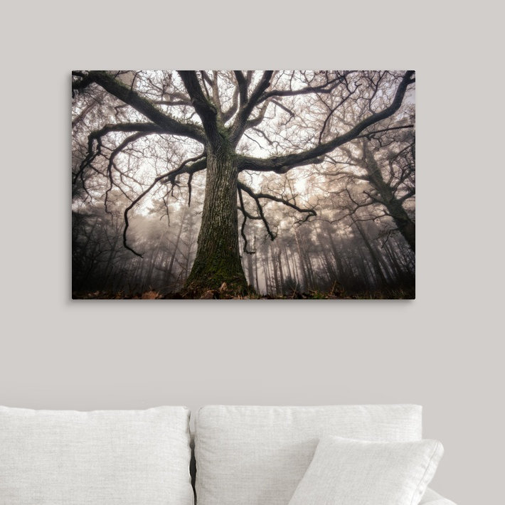 « the old oak », reproduction de photo sur toile, H 24 po x l 36 po x P 1,5 po