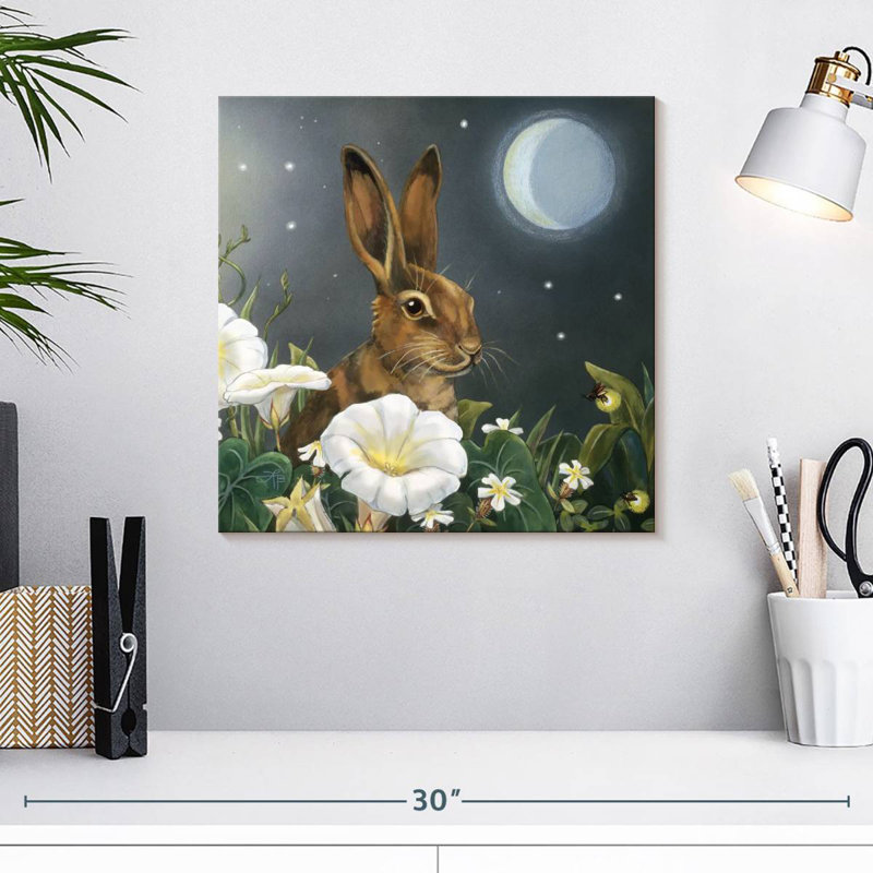 Lapin Brampt sous la lune