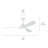 54'' Ceiling Fan with LED Lights-551225102