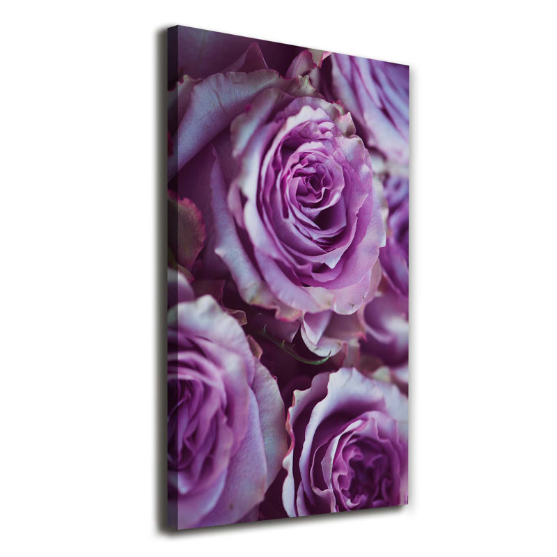 Purple Roses - Wrapped Canvas Print