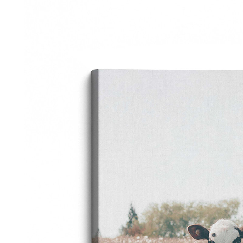 «The Little Brown Wonder», grande impression sur toile, H 60 po x l 40 po