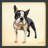 " Boston Terrier " by Alex Zeng