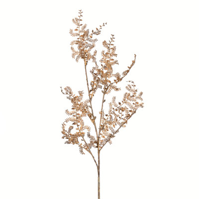 Fern Arrangement
