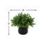 15'' Faux Boxwood Plant in Glass Vase