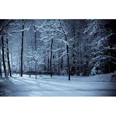 Winter Woods Landscape by Oliale72