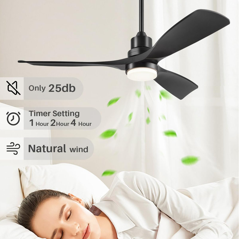 52 Inch Ceiling Fan with Lights Remote Control, Black