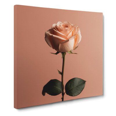 Rose Minimalism No.2 - Wrapped Canvas - Framed Print