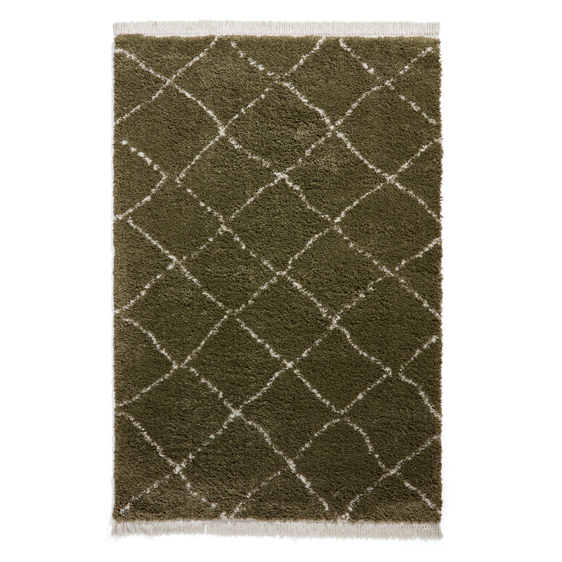 Pechler area rug Machine Woven Green, Rectangle 160 x 230cm