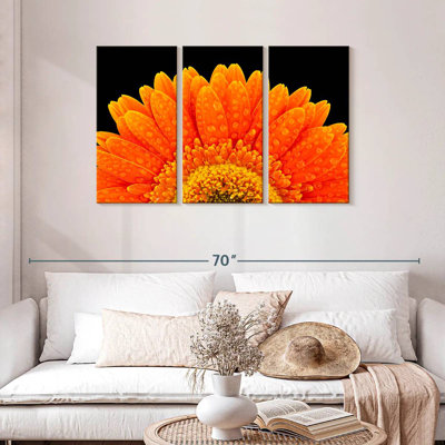 Harnek Gerbera Flower Dewdrops