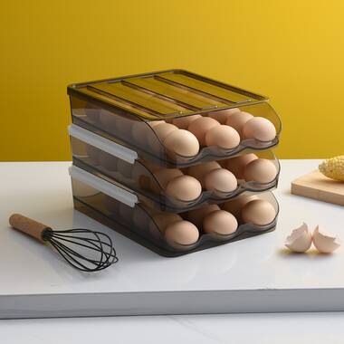 Refrigerator Egg Tray