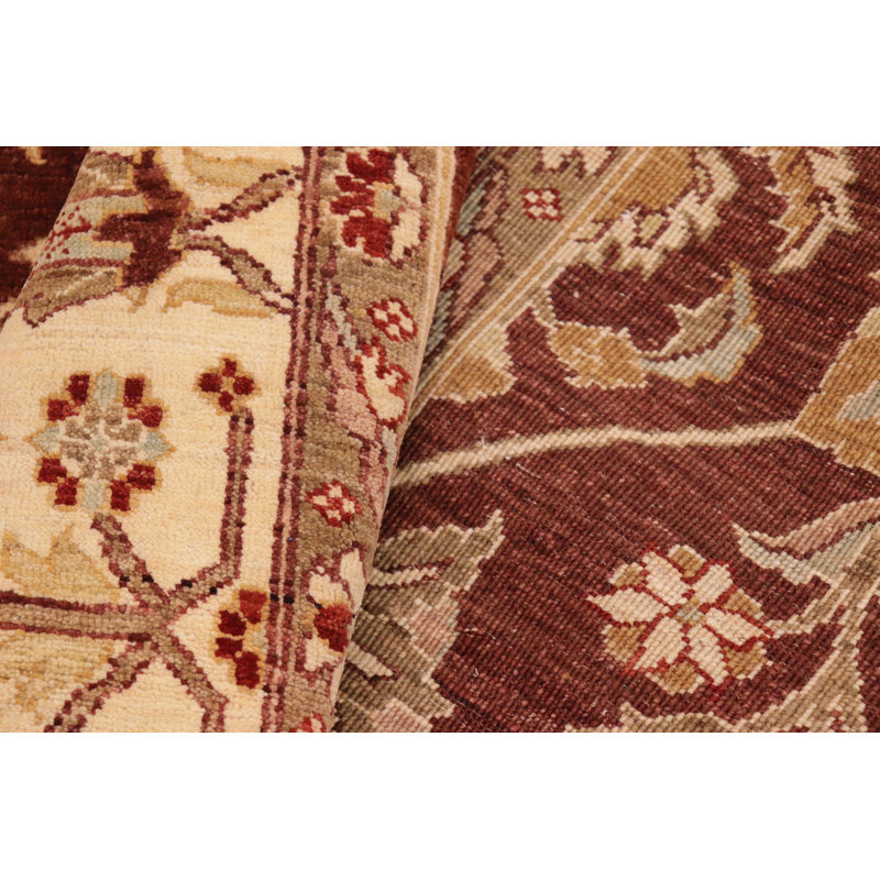 Baccio Wool Oriental Indoor Rug