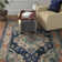 Bailes Oriental Area Rug