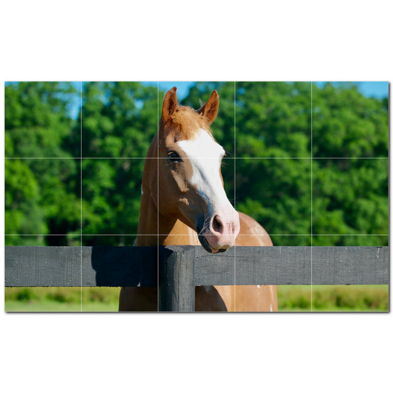Photo de ferme 6 x 6