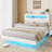 Queen Size Floating Bed Frame With LED Lights, Charging Station, No Box Spring Needed-125870119