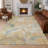 Machine Washable Indoor/Outdoor Chantille ACN2748 Paisley Rug-1992006178-1992006201