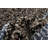 Whittney Striped Indoor Rug-1640725242