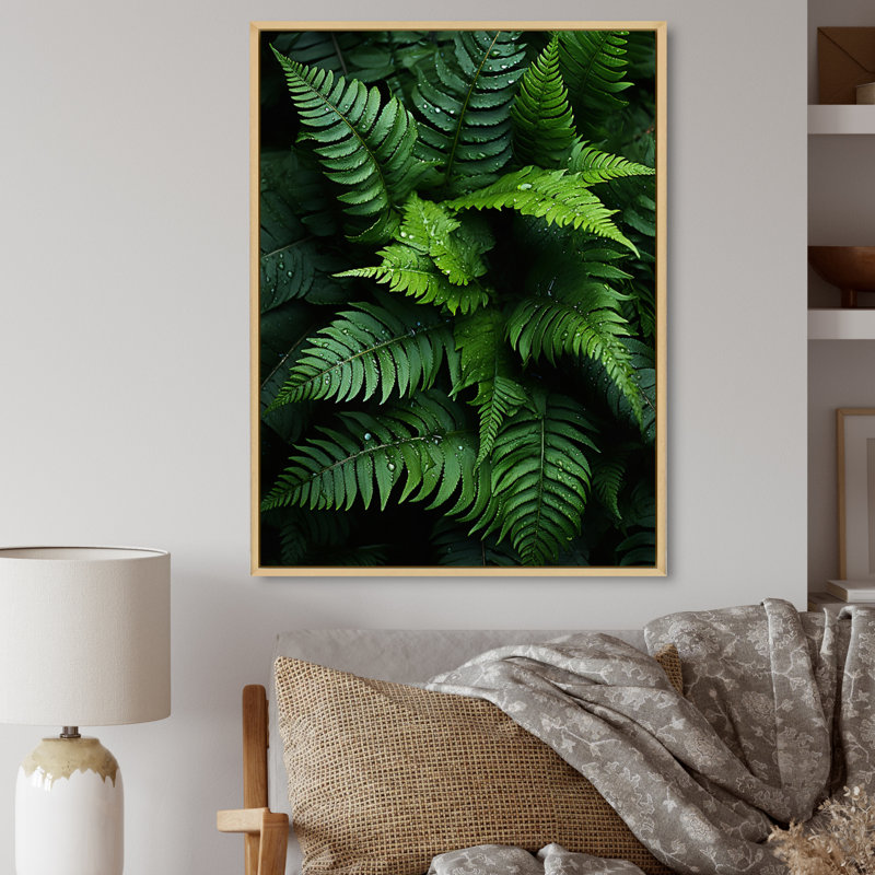 Delrico, fougères, plante, symphonie monochrome I, H 44 po x l 34 po x P 1,5 po, Cadre naturel flottant