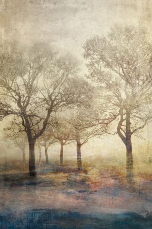Nomadic Wind Painting by Elena Carlie, Plexi, 60" H x 40" W x 1.5" D