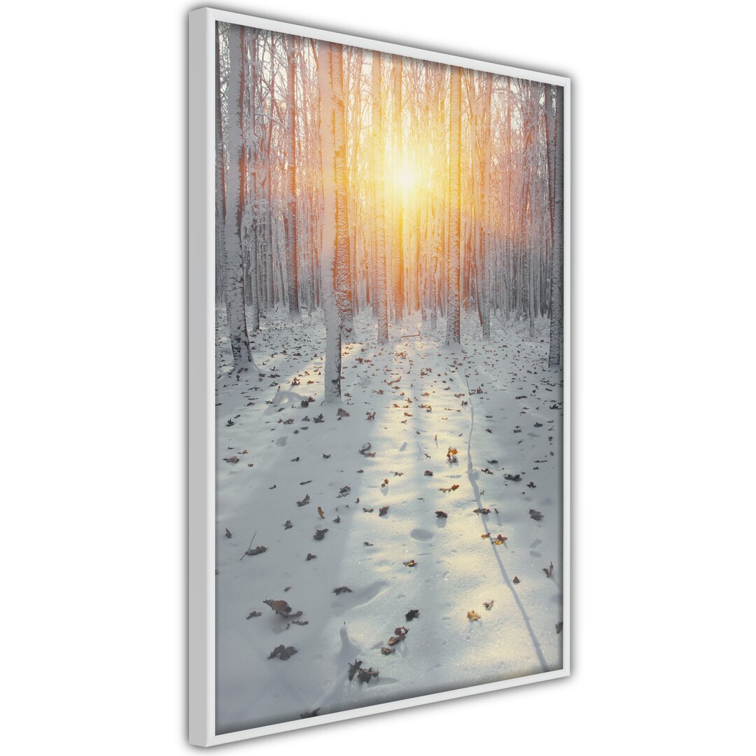 Gerahmter Fotodruck Frosty Sunset