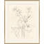 Helebore Study II Giclee Print by Susan Hable