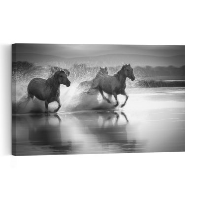 Reproduction d'art mural cheval sauvage