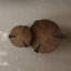Round Household Wood Coffee Table Set