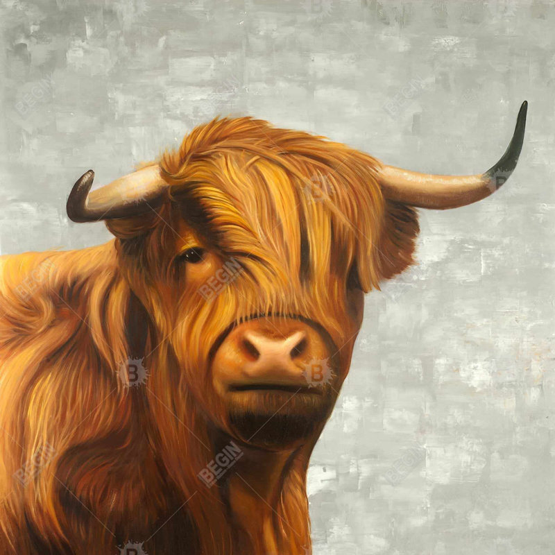 Highland cattle - 32"x32" art on canvas