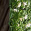 50cm Faux Evergreen Hedge