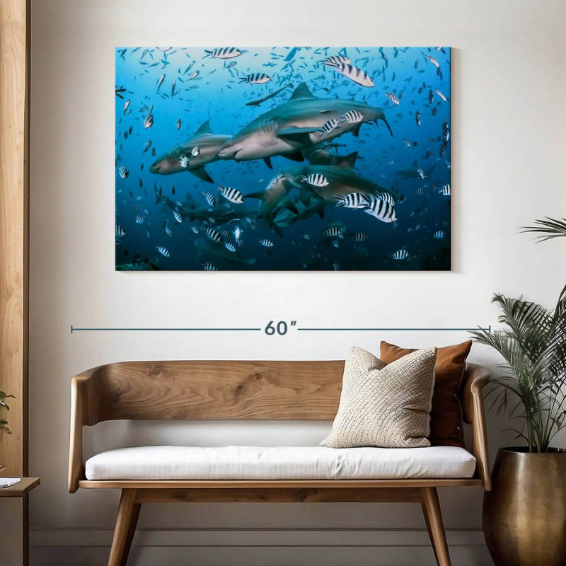 Aletra Beqa Lagoon Sharks, 32" H x 48" W