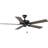 52'' Ceiling Fan-1248312297