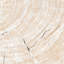Linton Solid Wood Accent Stool