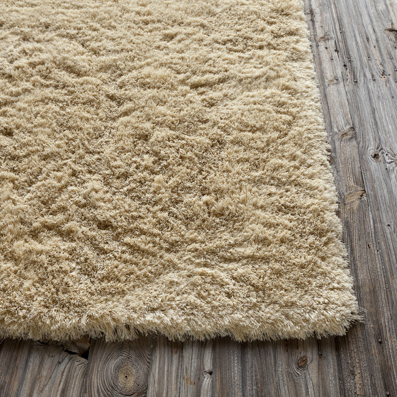 Petrina Performance Indoor Rug, 2' x 3'