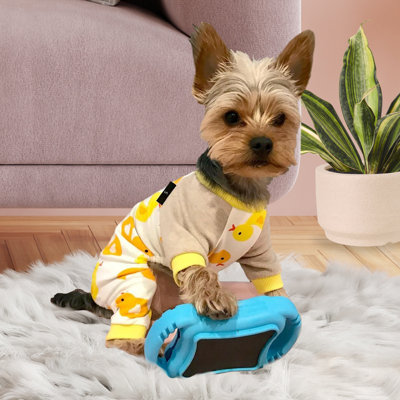 Jouet de toilettage pour chien et chat De 'Vora