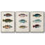 Antique Fish Trio I, ensemble de 3 toiles encadrées sur toile-97760249-97760253