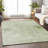 Machine Washable Indoor/Outdoor Xhevrie Sage Rug-1290883982