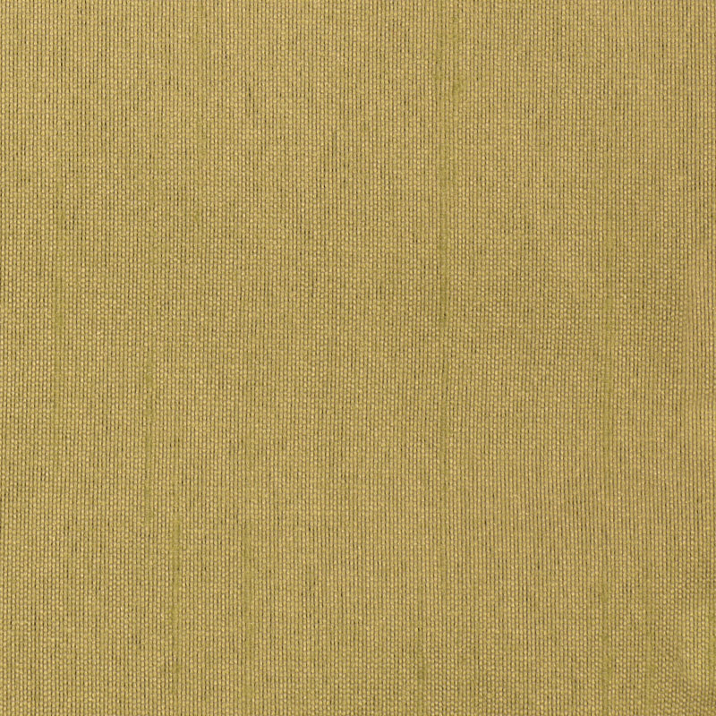 SILK ROAD - TISSU À LA COUR, Kiwi