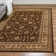Rosaria Floral Indoor Rug
