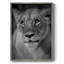 Portrait de lionne, reproduction encadrée - bois massif-306390199