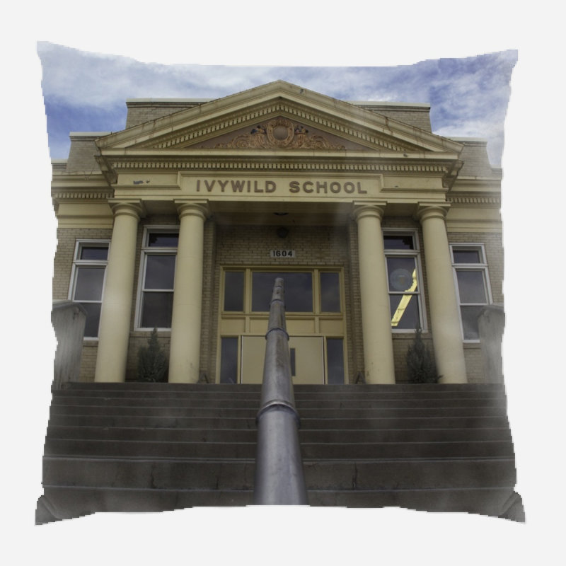 Microsuede Reversible Throw Pillow