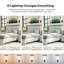 Lit Lonegan-1669937641-1669937646