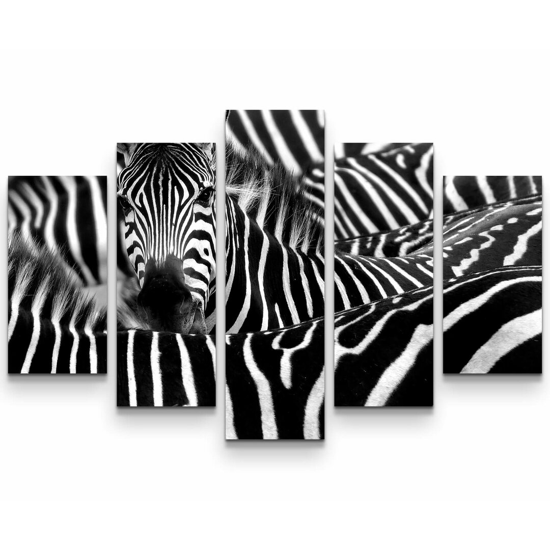 5-tlg. Leinwandbilder-Set Zebra in seiner Herde