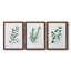 «Freshly Picked I», ensemble de 3 reproductions d'art sur toile-1825290764-1825290763